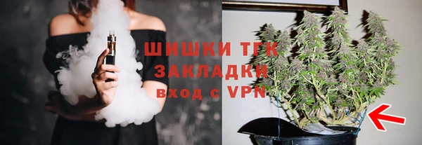 индика Кулебаки