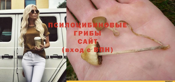 PSILOCYBIN Ладушкин