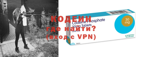 индика Кулебаки