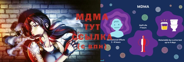 индика Кулебаки