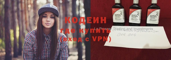 индика Кукмор