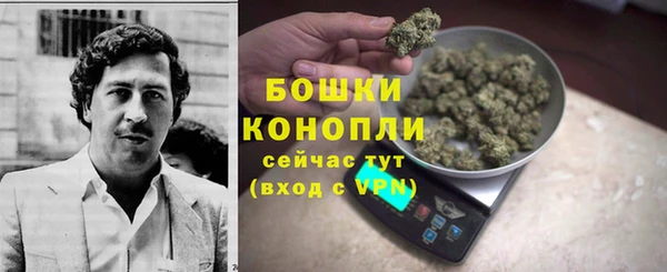 PSILOCYBIN Ладушкин