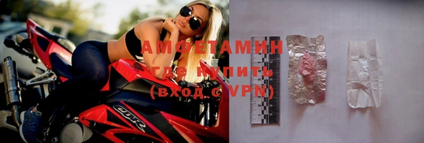 индика Кулебаки