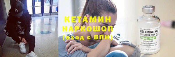 индика Кулебаки