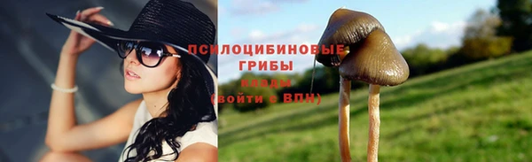 ГАЛЛЮЦИНОГЕННЫЕ ГРИБЫ Куйбышев