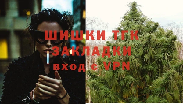 индика Кукмор