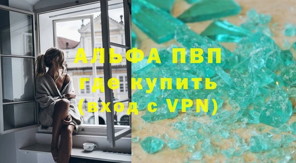 индика Кулебаки