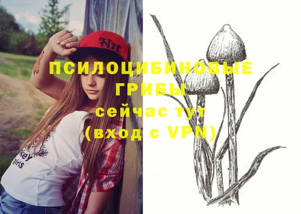 индика Кукмор