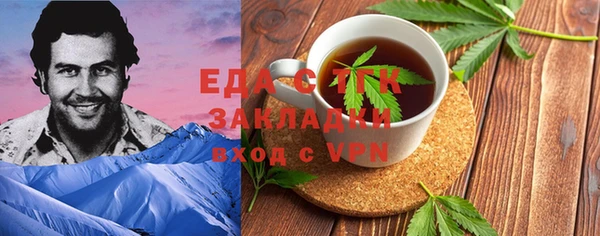 шишки Ельня