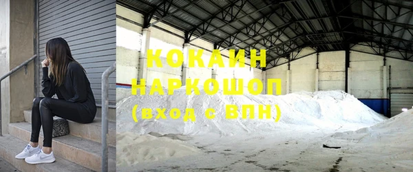 индика Кулебаки