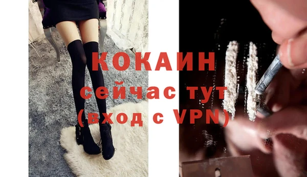 индика Кукмор
