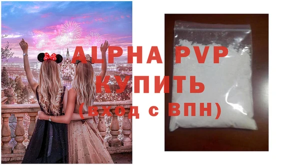 индика Кулебаки