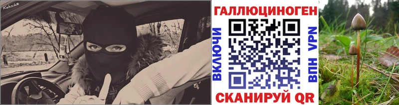 Псилоцибиновые грибы MAGIC MUSHROOMS  где купить   Гаджиево 